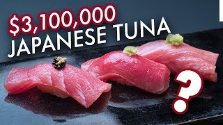 Japans Most Expensive Tuna  31Million Catch [upl. by Arlie948]