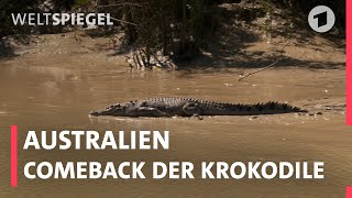 Australien Comeback der Krokodile  Weltspiegel [upl. by Reppep426]