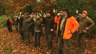 Jagd auf Jäger Tierschützer gegen Förster  SPIEGEL TV [upl. by Geibel]