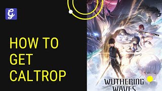 How to Get Caltrop  Wuthering Waves [upl. by Neiv276]