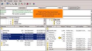 FTP How to Uploadtransfer Files Using FileZilla [upl. by Aguste297]