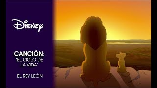 El Rey León Canción  El Ciclo de la vida  Disney Oficial [upl. by Ylrebmyk]