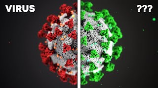Der Unterschied zwischen VIREN und BAKTERIEN [upl. by Santiago]
