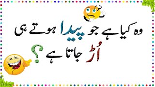 Paheliyan In Urdu With Answer  Amazing Facts About Common Sense  Urdu Riddles  4 [upl. by Mercer372]