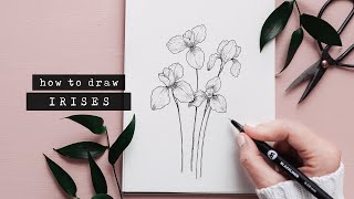 How To Draw An Iris Flower  Floral Illustration [upl. by Londoner109]