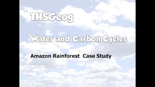 Water and Carbon Cycles  Amazon Case Study [upl. by Adlihtam294]