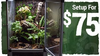 Can I Set Up a Vivarium for 75 [upl. by Eniad]