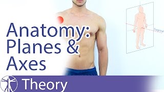 Anatomical Planes amp Axes Explained [upl. by Suryt130]