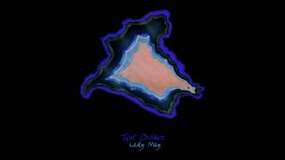 Tyler Childers  Lady May [upl. by Dyraj]