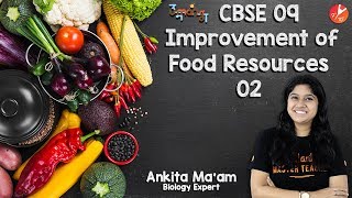 Improvement In Food Resources  L2  CBSE Biology Class 9  NCERT Solutions  Vedantu Class 9 [upl. by Mont]