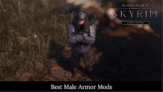 Best Skyrim Mods  Male Armor Showcase and Comparison [upl. by Hamford]