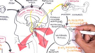 Pharmacology  Antiemetics [upl. by Eigram]