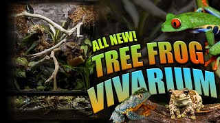 How To Setup A Bioactive Tree Frog Terrarium Exo Terra Tree Frog Terrarium [upl. by Avan791]