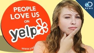 Does Yelp Really Impact Businesses [upl. by Shelli]