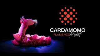 Flamenco Madrid • Tablao Cardamomo [upl. by Torrence]