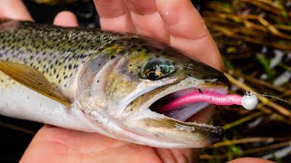 How To Fish MICRO Worms For TROUT In Creeks Rivers amp Streams [upl. by Noelyn]