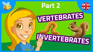 Vertebrates and Invertebrates Animals part 2  Kids Videos [upl. by Keel705]