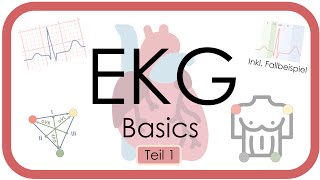 EKG Basics  Step by Step  Grundlagen Einthoven Frequenz Lagetyp PWelle QRS EKGKurs [upl. by Golter]