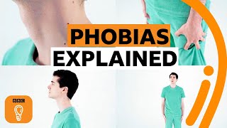 Where do phobias come from  BBC Ideas [upl. by Adnawed420]