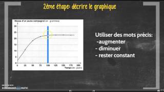 Tutoriel cycle 4 analyser un graphique [upl. by Ylime784]