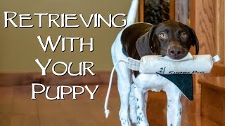 How To Teach Your New Puppy To Retrieve [upl. by Acina]