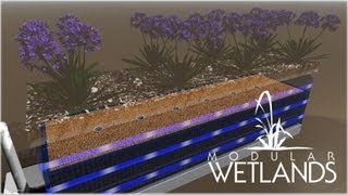 Modular Wetland System Linear 20 [upl. by Hartzel]